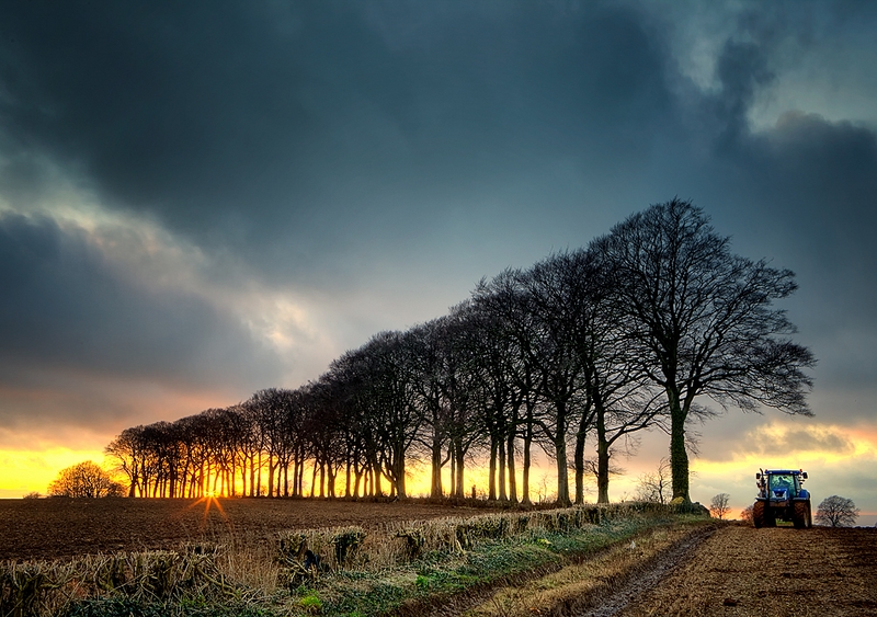 119 - PLOUGHING AT SUNSET - THOMSON IAN - united kingdom.jpg